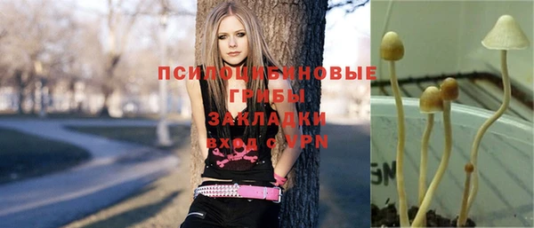 таблы Богородицк