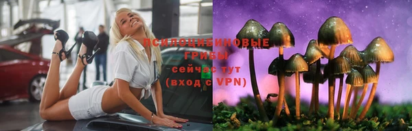 таблы Богородицк