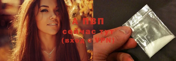 мескалин Богданович