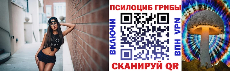 Купить закладки Асино Галлюциногенные грибы GOLDEN TEACHER